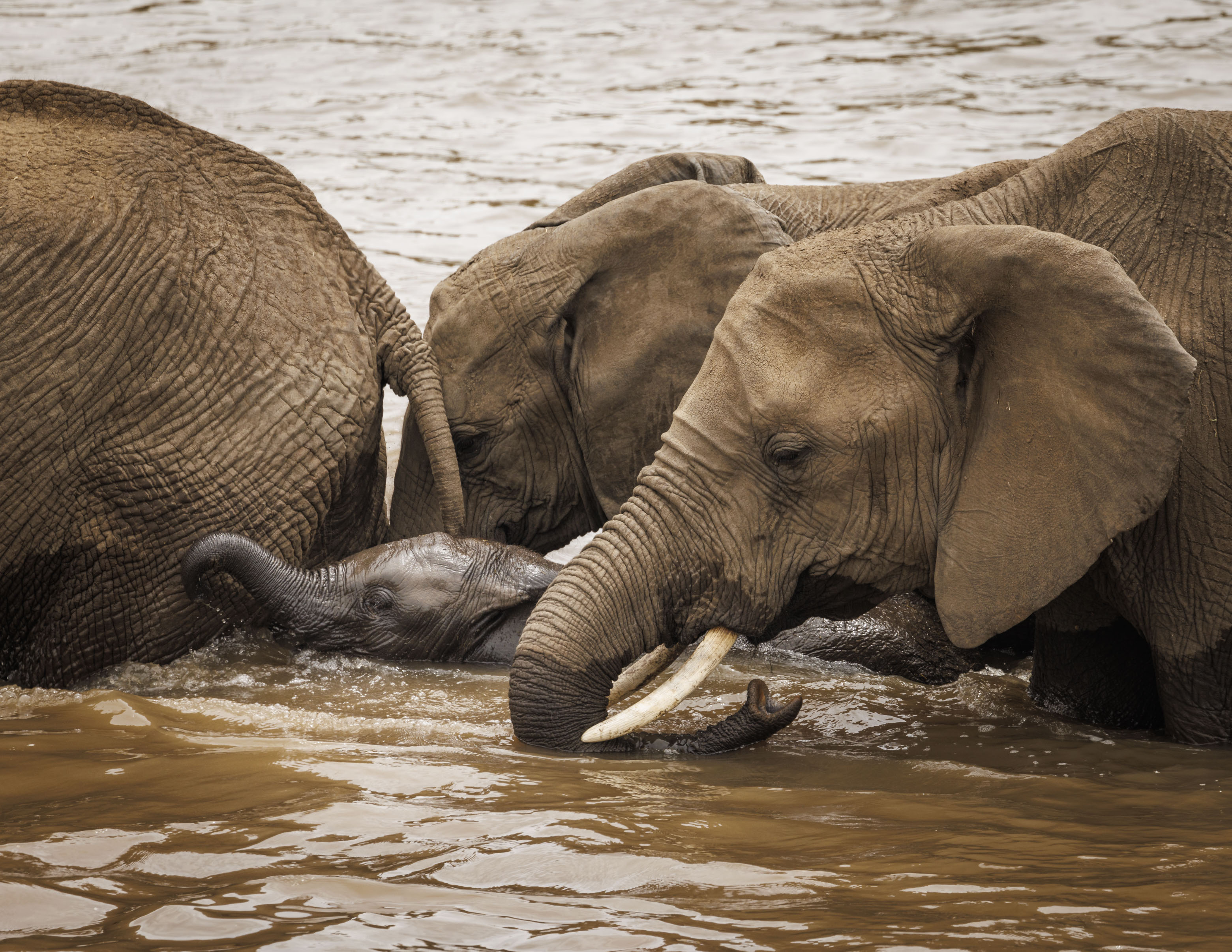 November 13, 2022-122633-2.jpg